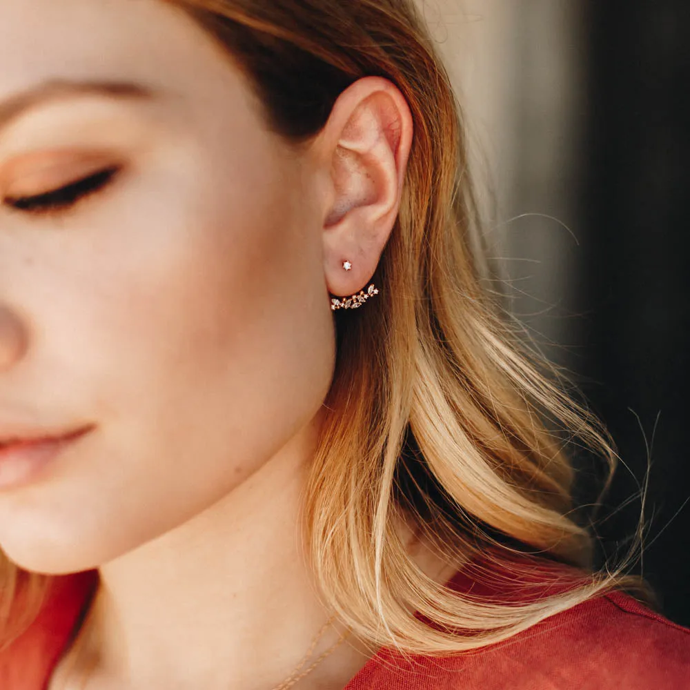 Twinkle Lights Ear Jackets